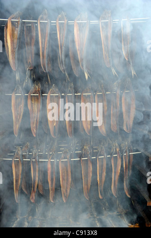 Arbroath Smokies, geräucherter Schellfisch über Holz in der traditionellen Weise vorbereitet. Stockfoto