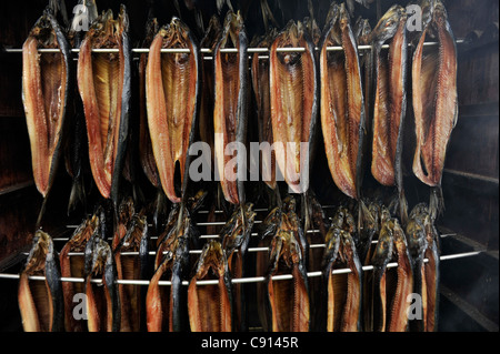 Arbroath Smokies, geräucherter Schellfisch über Holz in der traditionellen Weise vorbereitet. Stockfoto