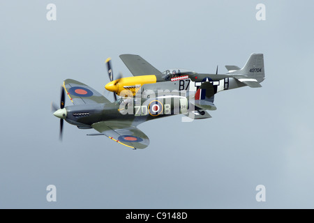 Spitfire und Mustang Stockfoto