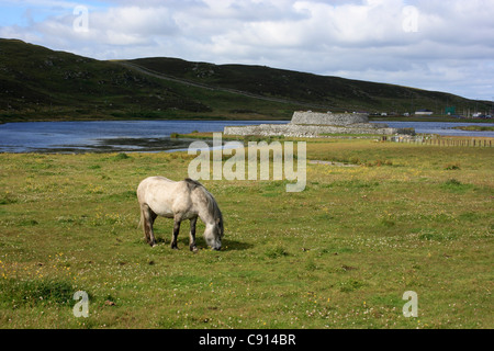 Clickimin Broch ist eine zerstörte frühe Bronzezeit-Siedlung in Shetland, Schottland. Stockfoto