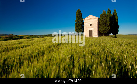 Abend-Sonnenlicht auf Weizenfeld und Cappella di Vitaleta in der Nähe von San Quirico d ' Orcia, Toskana Italien Stockfoto