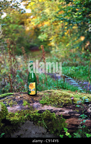 Eine Flasche Buckfast Stärkungsmittel Wein in einem Waldgebiet in Airdrie, Schottland. Stockfoto