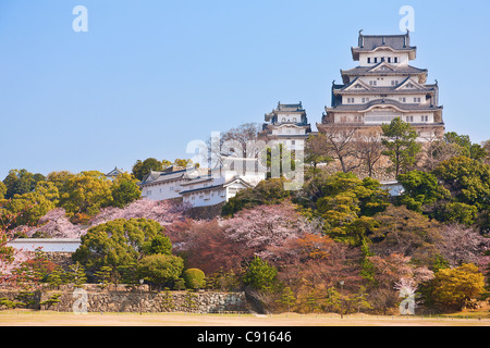 Burg Himeji in Japan Stockfoto