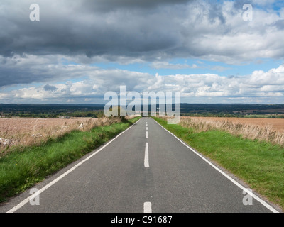 Shipton Down ist Bestandteil der Kreide unten Landschaft die Landschaft von West Oxfordshire. Stockfoto