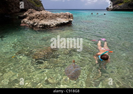 Curacao, Karibik Insel, Lagun Bay, Schnorchler, Frau, die Suppenschildkröte (Chelonia mydas). Stockfoto