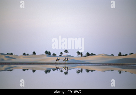 Algerien. Dorf in der Nähe von Ouargla, in der östlichen Sandsee (Grand Erg Oriental). Sahara-Wüste. Kamele in der Nähe von Salzsee Sanddünen Stockfoto