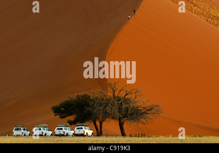 Düne 45, Sossusvlei, Namib-Naukluft-Nationalpark, Wüste Namib, Namib, Namibia, Afrika Stockfoto