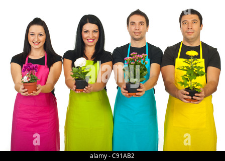 Team von vier Floristen Arbeiter in einem Geschäft zeigen verschiedene Blumen in Töpfen isoliert auf weißem Hintergrund Stockfoto