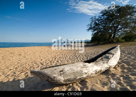 Fischer ziehen Sie ihre Kanus auf Mwaya Strand, in der Nähe von Matete am Malawi-See-Ufer, zwischen Nkhotakota und Nkhata Bay. Stockfoto