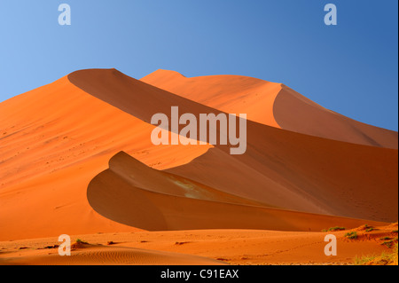 Roten Dünen im Sossusvlei, Namib Naukluft National Park, Namib Wüste, Sossusvlei, Namib, Namibia Stockfoto