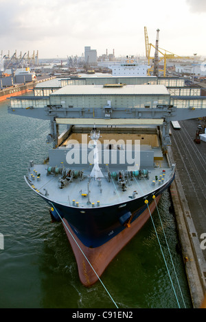 Trockenen Frachtschiff "Star Kvarven" Entladung Ladung von Papier im Hafen von Livorno Italien Stockfoto