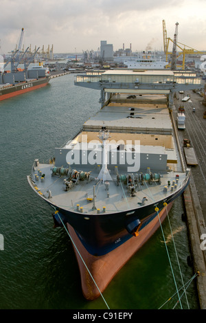 Trockenen Frachtschiff "Star Kvarven" Entladung Ladung von Papier im Hafen von Livorno Italien Stockfoto