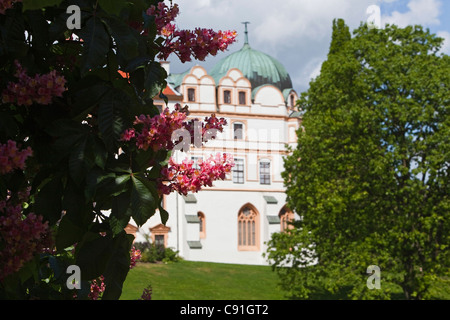 Rote Blosoms und Bäume im Schlossgarten von Schloss Celle, Niedersachsen, Deutschland Stockfoto