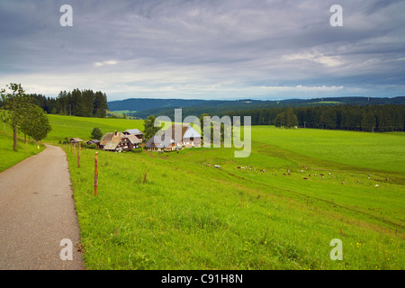 Oberfallengrundhof (Bauernhaus) in der Nähe von Guetenbach, in der Nähe von Furtwangen, Schwarzwald, Baden-Württemberg, Deutschland, Europa Stockfoto