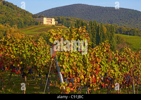 Villa Ludwigshoehe in der Nähe von Edenkoben, Deutsche Weinstraße, Pfalz, Rheinland-Pfalz, Deutschland, Europa Stockfoto