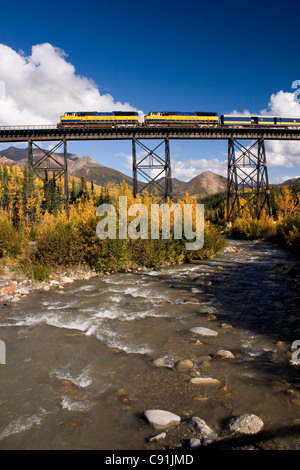 Riley Creek fließt unter der Trestle als Personenzug Richtung Norden Alaska Railroad ein Bock, Yunan Alaska überquert Stockfoto