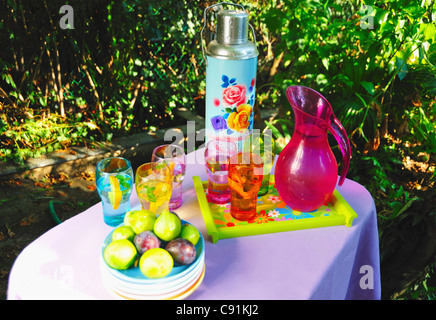 Obst und Getränke auf Picknick-Tisch Stockfoto