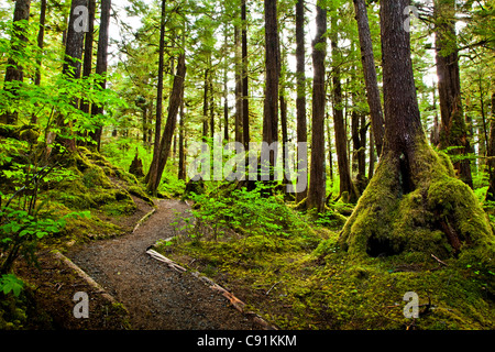 Mittagessen fällt Loop Trail windet sich durch einen gemäßigten Regenwald, Siedler Cove State Recreation Site, Ketchikan, Südost-Alaska Stockfoto