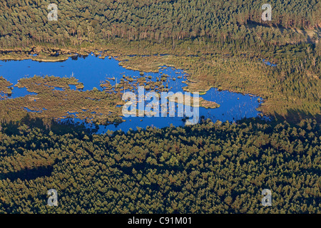 Luftaufnahme der Moorlandschaft in der Lüneburger Heide, Naturschutzgebiet, Niedersachsen, Deutschland Stockfoto