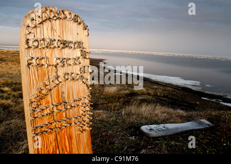 Holz Tombstone und Särge auf Tausch Insel in der Nähe von Kaktovik, Nordhang, Sommer in der Arktis Alaska Stockfoto