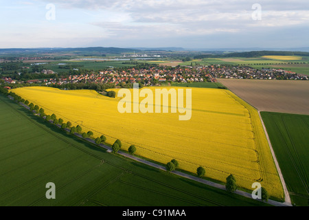 Luftaufnahme des gelb blühenden Raps Pflanzen in der Nähe von Verden, Niedersachsen, Deutschland Stockfoto