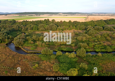 Luftaufnahme der Wiesen des Flusses Innerste, Naturschutzgebiet, Niedersachsen, Deutschland Stockfoto