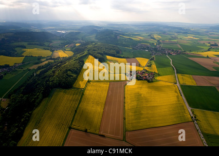 Luftaufnahme der Rapsfelder in Blüte, Dorf Tuchtfeld im Weserbergland, Niedersachsen, Deutschland Stockfoto