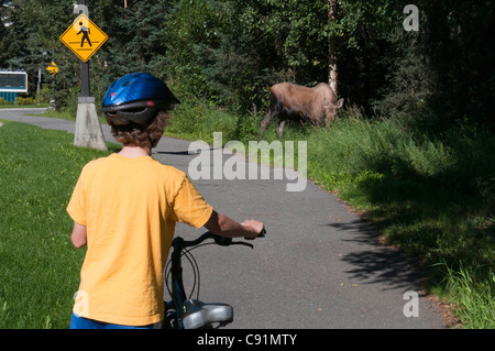 Ein kleiner Junge hält für einen Browser Elch auf den Radwegen auf dem Campus der University of Alaska Anchorage, Alaska Yunan Stockfoto