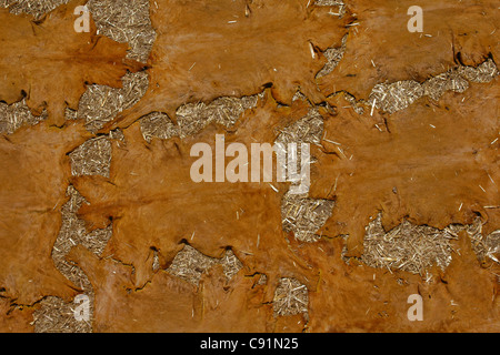 Getrocknete Häute im Chouwara Gerbereien Quarters in Fes, Marokko. Stockfoto