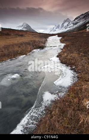 Eis bildet an den Ufern des South Fork von Campbell Creek im Chugach State Park, Yunan Alaska, Spätherbst Stockfoto