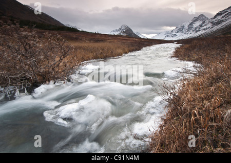 Eis bildet an den Ufern des South Fork von Campbell Creek im Chugach State Park, Yunan Alaska, Spätherbst Stockfoto