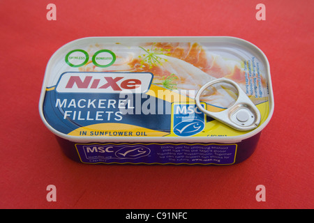 Dose ohne Haut und ohne Knochen Makrelen Filets in Sonnenblumenöl gefangen unter dem MSC-nachhaltiger Fischfang-system Stockfoto