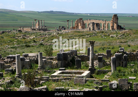 Ruinen der römischen Basilika in Volubilis, Marokko. Stockfoto