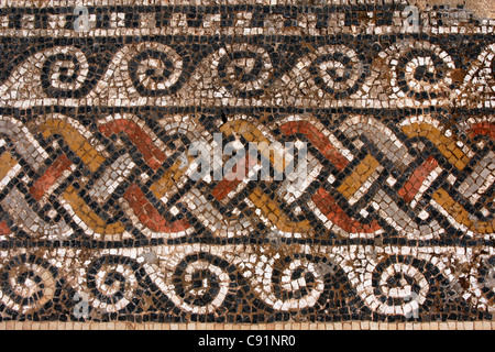 Ornamentale römisches Mosaik aus dem Haus des Orpheus in Volubilis, Marokko. Stockfoto