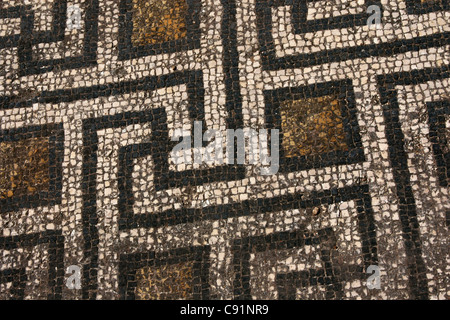 Römische Hakenkreuz Mosaik aus dem Haus des Orpheus in Volubilis, Marokko. Stockfoto