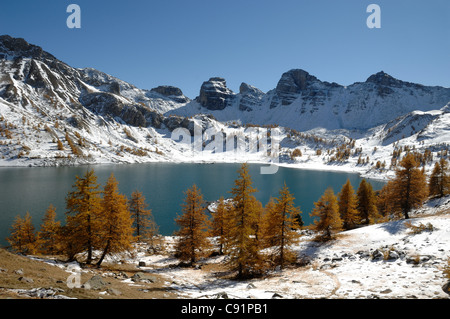 Winter Blick auf den See Allos oder Lac d'Allos mit Larchor Bäumen, Larix decidua, im Nationalpark Mercantour, südfranzösische Europäische Alpen Stockfoto