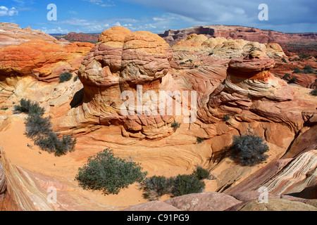 Sandstein-Formationen, The Wave, Coyote Buttes, Vermilion Cliffs National Monument Stockfoto