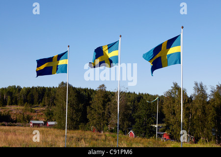 Schwedische Flaggen über ländliche Landschaft Stockfoto