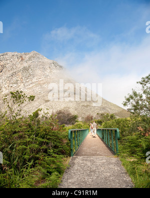 Harold Porter National Botanic Garden in der Nähe von Bettys Bay in Südafrika Western Cape ist ein schöner Garten mit vielen seltenen Stockfoto