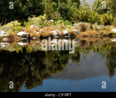 Harold Porter National Botanic Garden in der Nähe von Bettys Bay in Südafrika Western Cape ist ein schöner Garten mit vielen seltenen Stockfoto