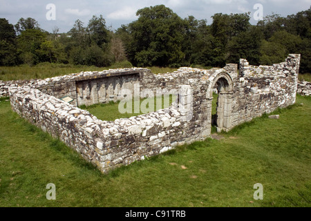 White Island, Grafschaft Fermanagh, Nordirland Stockfoto