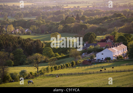 Reihe der Häuser Gribdale Terrasse in der Nähe von Great Ayton North Yorkshire England Stockfoto