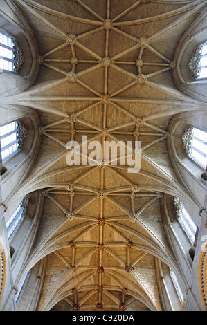 Reich verzierte Kirchenschiff Decke in Malmesbury Abbey, Malmesbury, Wiltshire, England, Vereinigtes Königreich Stockfoto