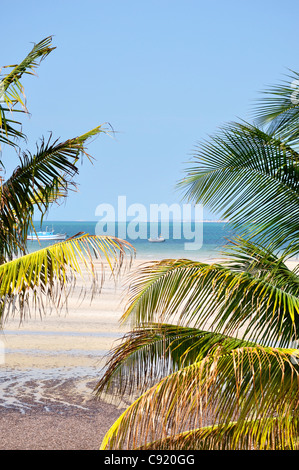 Der Blick von Vilankulos Strand zeigen Boote Vegetation und den Indischen Ozean Vilankulos Inhambane. Vilankulos in Inhambane hat Stockfoto