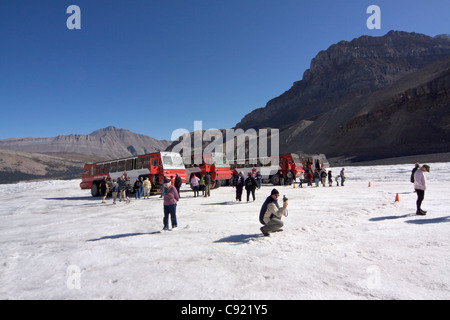 Aufgrund der globalen Erwärmung hat der Gletscher über 1,5 km in den letzten 125 Jahren zurück und verlor mehr als die Hälfte seines Volumens. Es Stockfoto