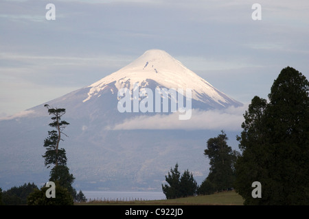 Osorno Vulkan ist einer die nationalen Wahrzeichen von Chile, und die Spitze ist in der Regel mit Schnee bedeckt. Stockfoto