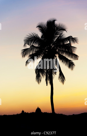 Palme Blätter Silhouette bei Sonnenuntergang mit indischen kuppelförmige Gebäude im Hintergrund. Puttaparthi, Andhra Pradesh, Indien Stockfoto