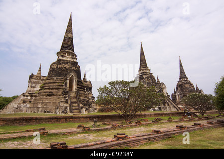 Die Chedis am Wat Phra Sri Sanphet die königliche Kapelle, erbaut zwischen 1448-1499 in der Ayutthaya-Tempel-Komplex in den alten Ruinen Stockfoto
