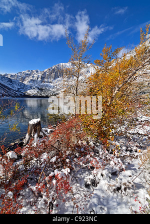 Farben des Herbstes am Convict Lake in der Nähe von Mammoth Lakes, Kalifornien Stockfoto