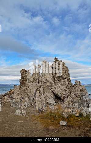 Ein Sand Tuffstein am Mono Lake South tufa Stockfoto